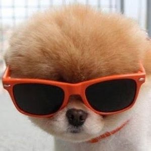 Meet your Posher, Cade